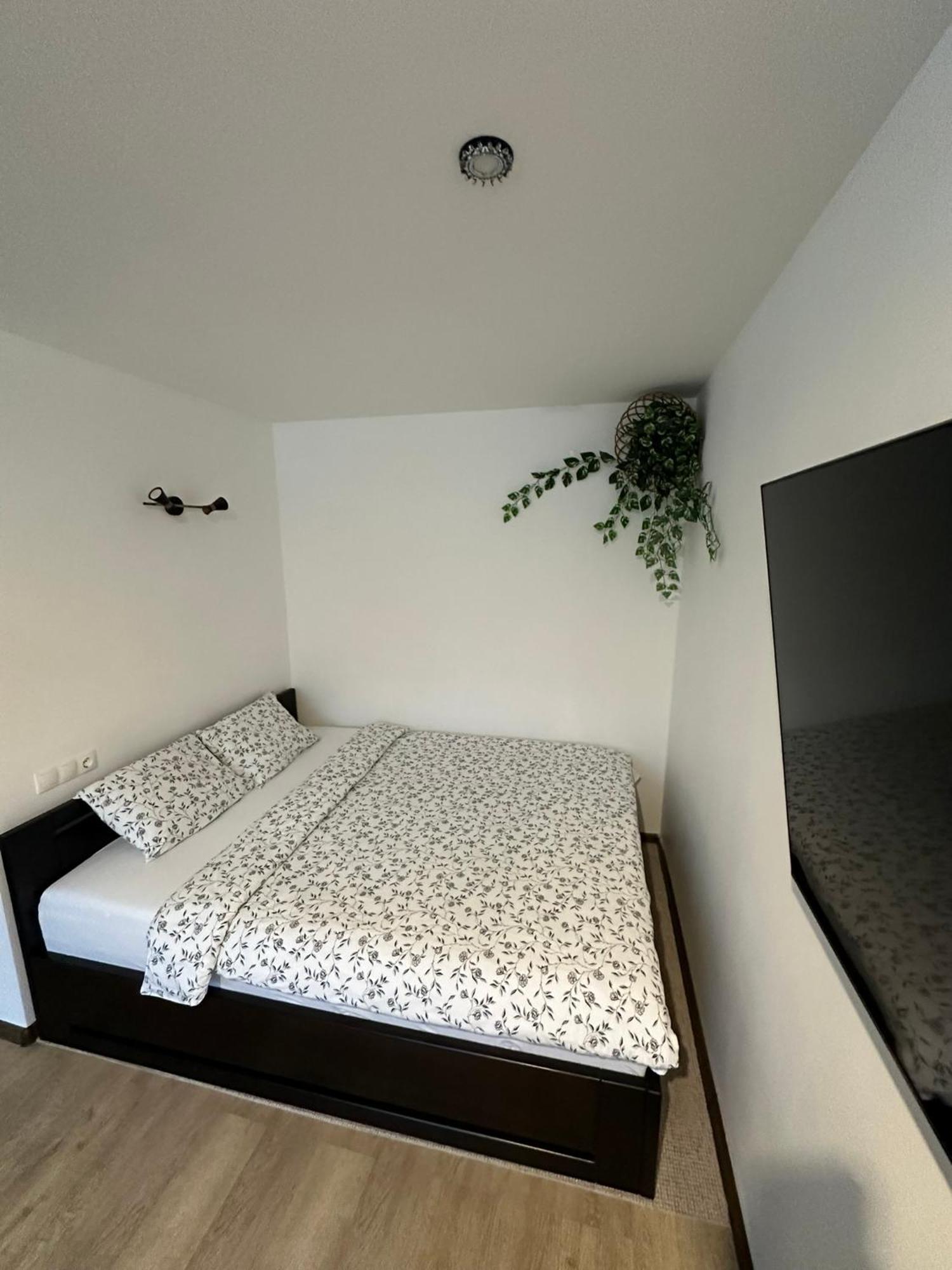 Studio Apartment Valmiera Dış mekan fotoğraf